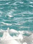 Porqu� sue�o con agua