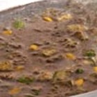 ¿Cómo se hace la crema de huitlacoche?