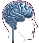 �Qu� significa tener poder mental?