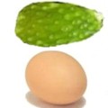 ¿Cómo se hacen los nopales con huevo?