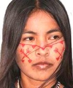¿Quiénes son los Seris y en qué lugar de la república viven?