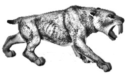 ¿Cómo fue el extinto smilodon o tigre de dientes de sable?