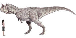 Principales características del dinosaurio Carnotaurus
