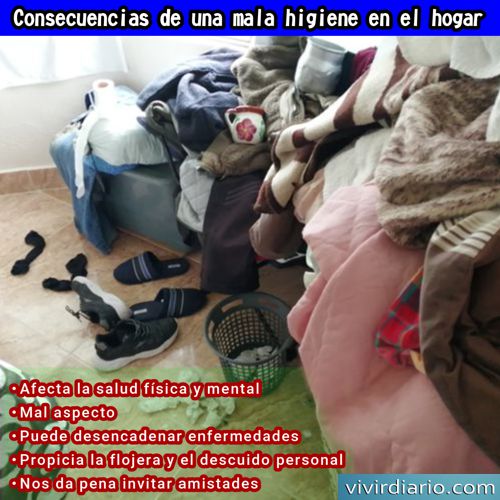¿Cuáles son las consecuencias de una mala higiene en el hogar?