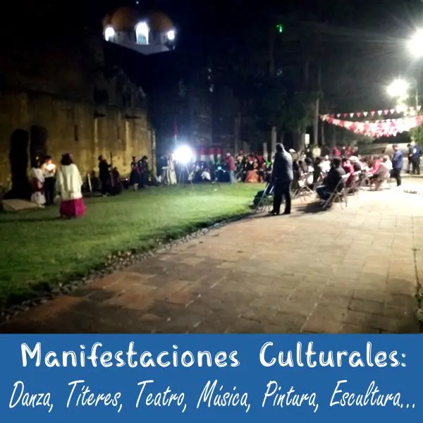 ¿Qué son las manifestaciones culturales?